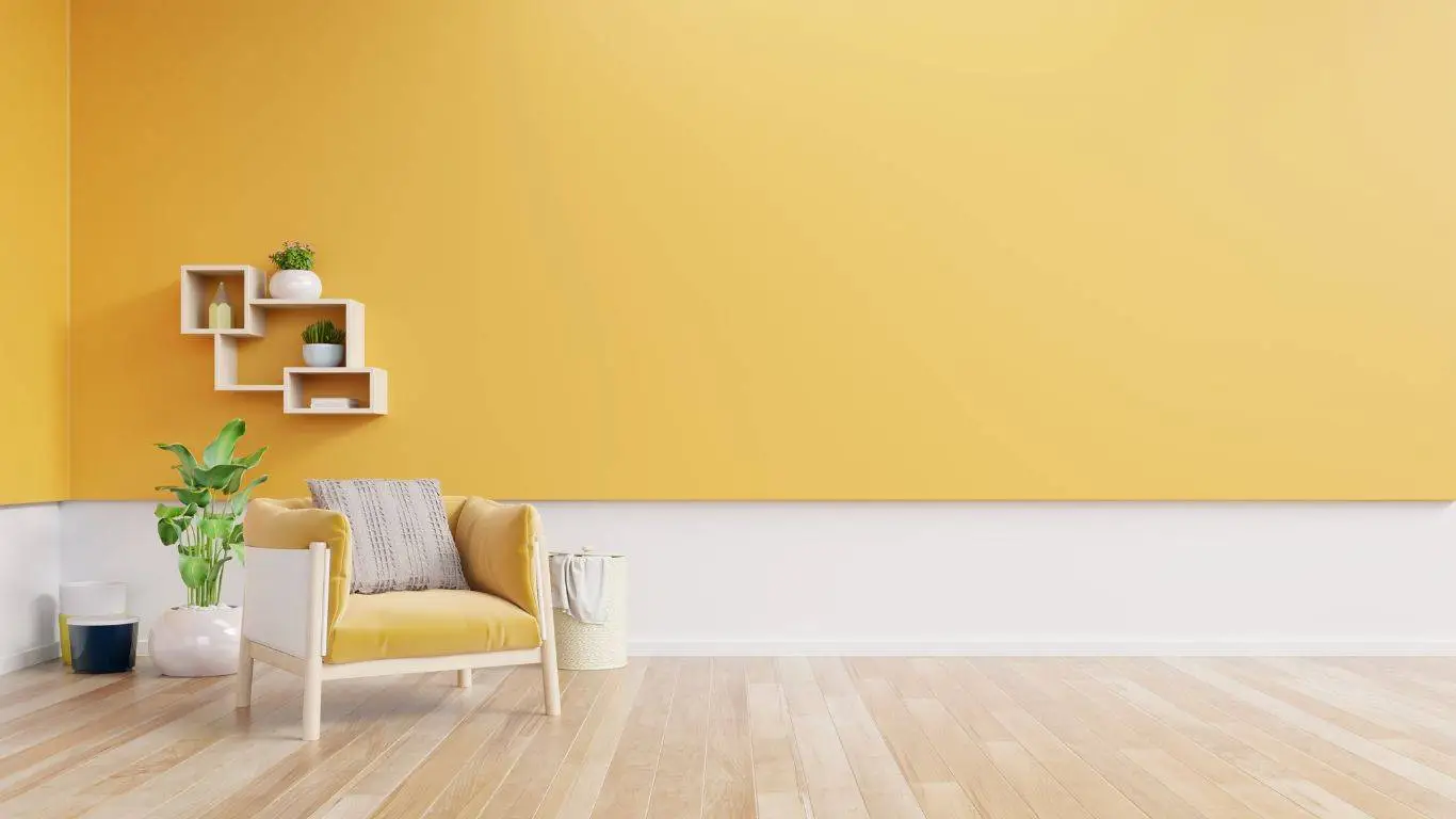 Paints & Furniture